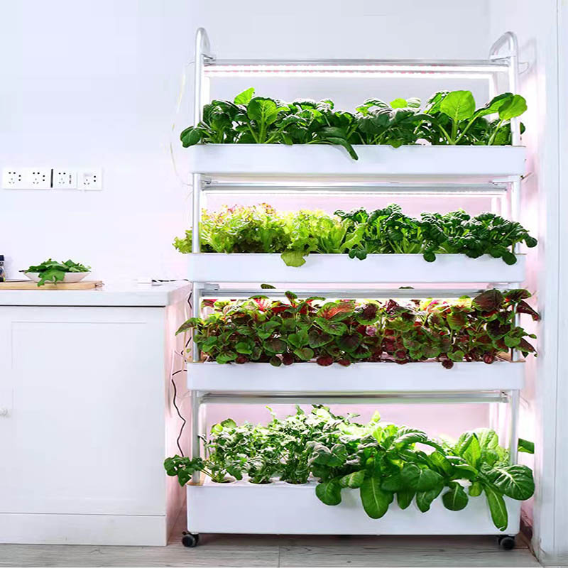 ydroponic Planting System Smar - Diy Home Automation System 评论和价格