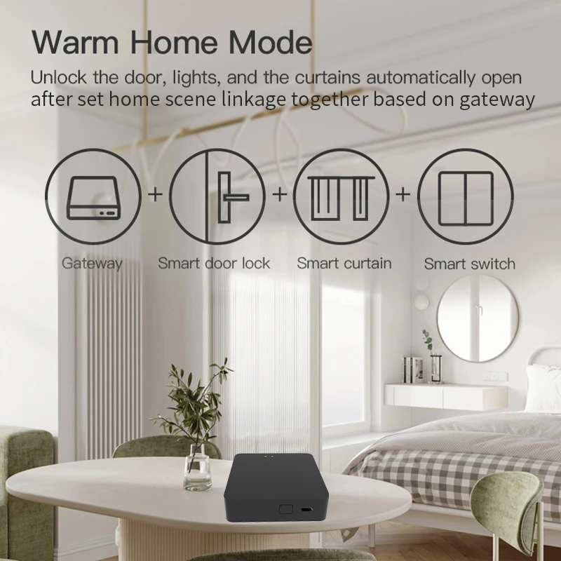 Work with Tuya Smart Zigbee+ B - Diy Home Automation Hub 评论和价格