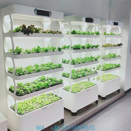 Hydroponic Automated Grow Syst - Diy Automation 评论和价格